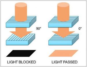 Vertical and Horizontal Polarizers